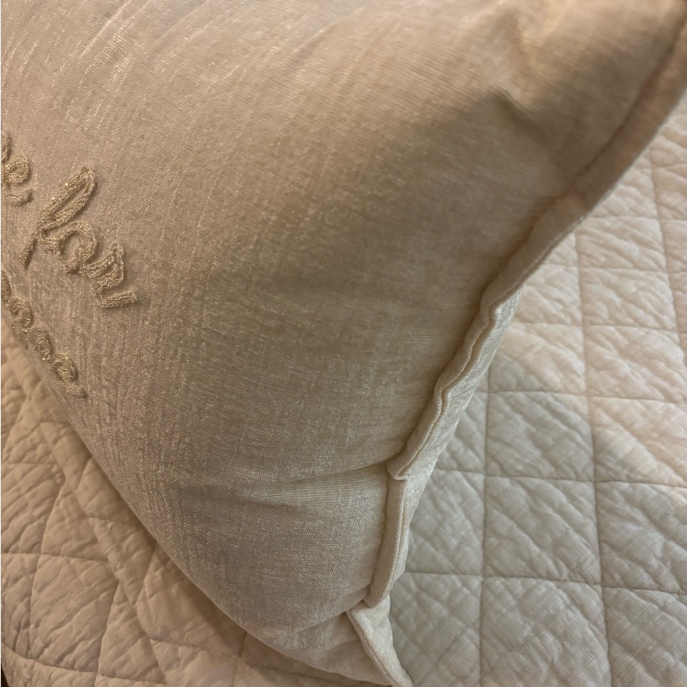 Wake Me for Champagne Accent Pillow - Picture 4 of 6
